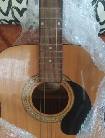 Epiphone Dr 100 na