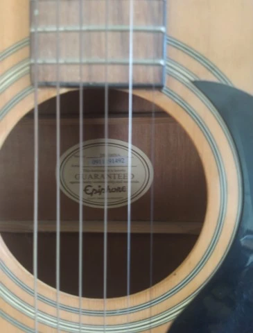 Epiphone Dr 100 na