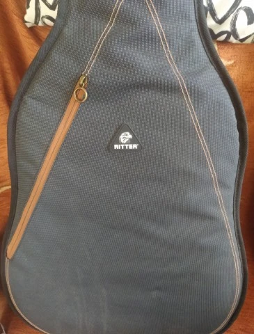 Epiphone Dr 100 na