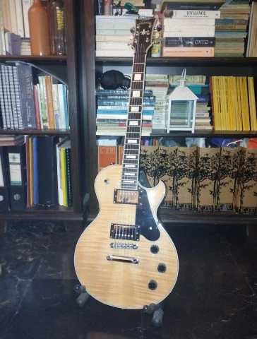 Schecter Solo II Custom