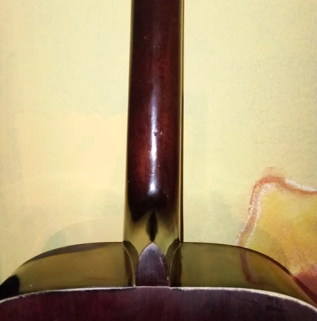 Maya F300 Vintage Acoustic Guitar 