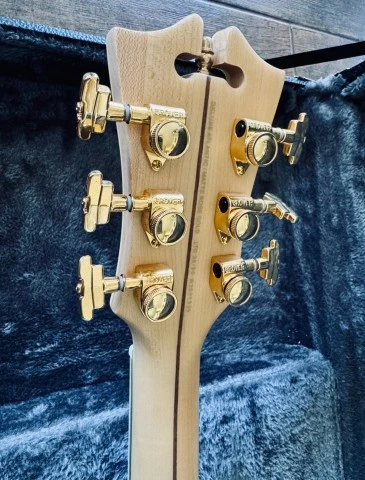 D'Angelico Deluxe Atlantic (Limited)