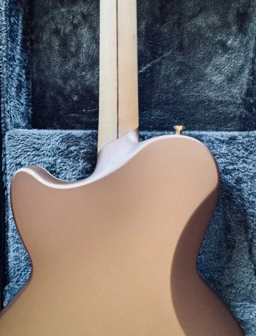 D'Angelico Deluxe Atlantic (Limited)