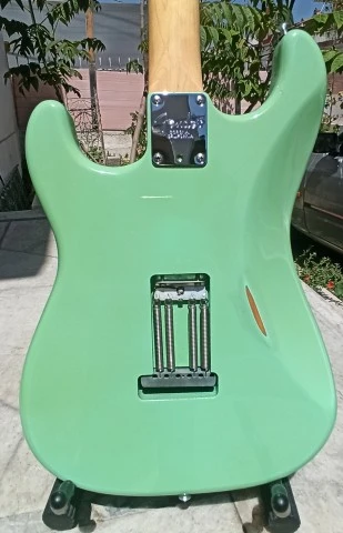 Strat + CS-69 fender pus.