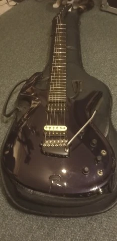 Parker Fly Deluxe USA 2000 (Pre-Refined / Suhr Aldrich)