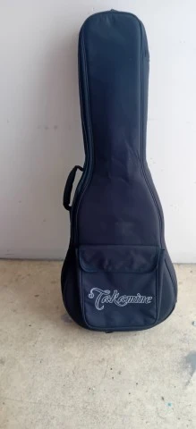 Takamine GS11 Mens Travel Guitar