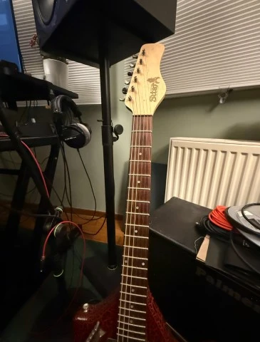 Jerry Jones Electric Sitar