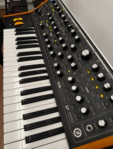 Moog Subsequent 37