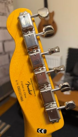 Jim Root Telecaster EMG 81-60