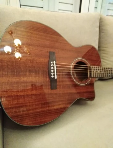 Guild OM-260CE Deluxe Blackwood