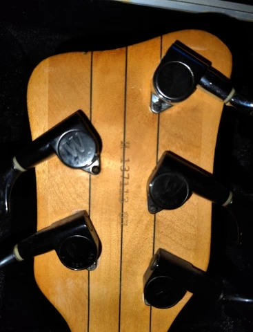 Warwick Corvette $$ NT 5 string, Germany + Hard Case