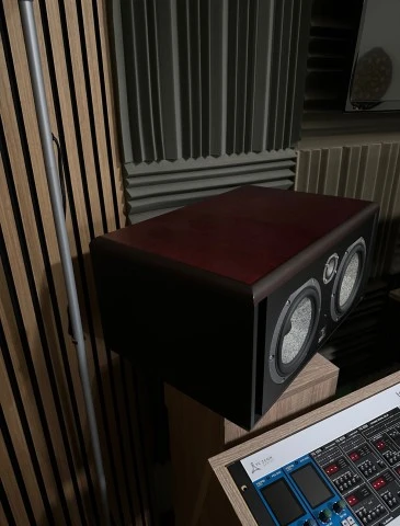 Focal twin BE6