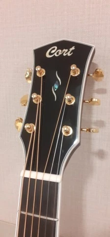 Cort Gold OC8 ηλεκτρακουστική