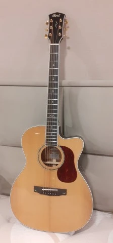 Cort Gold OC8 ηλεκτρακουστική
