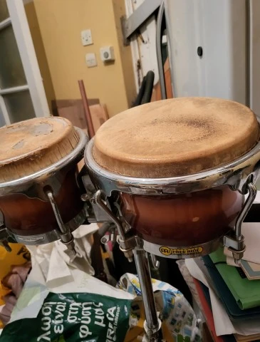 Meinl bongos με βάση