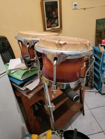Meinl bongos με βάση