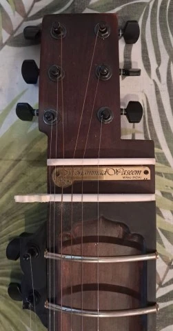 Sitar / Σιτάρ 