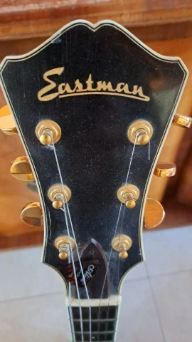 Eastman T 146 CE SB