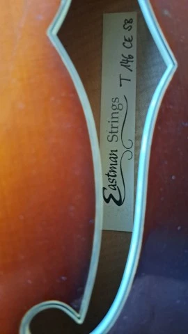 Eastman T 146 CE SB