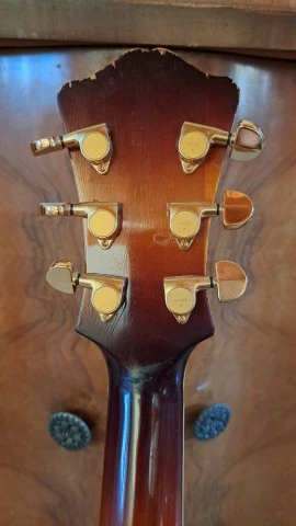 Eastman T 146 CE SB