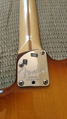 Fender Deluxe Ash Strat (60th anniversary)