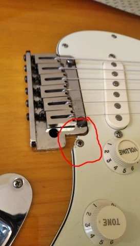 Fender Deluxe Ash Strat (60th anniversary)