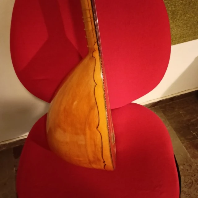 Σάζι ηλεκτρικό στα με θήκη
