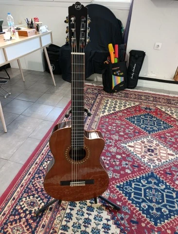Ηλ/κλασσική Tanglewood EMDC5 Enredo Madera Dominar