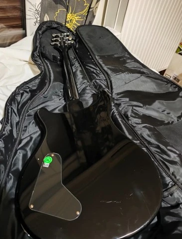 PRS SE Custom 22 Semi‑Hollowbody