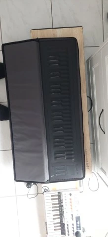 ROLI Seaboard Rise 49