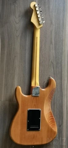 FENDER American Professional II Stratoca