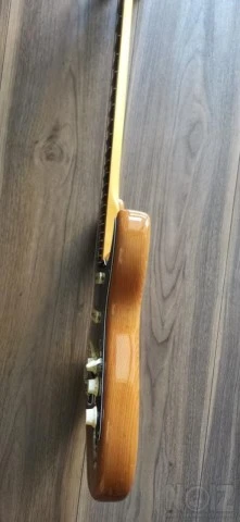 FENDER American Professional II Stratoca