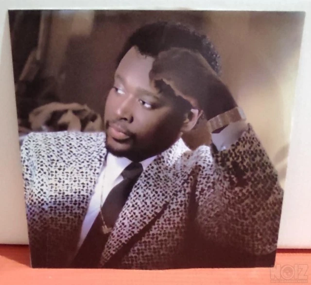 Luther Vandross - The Night I Fell In Lo