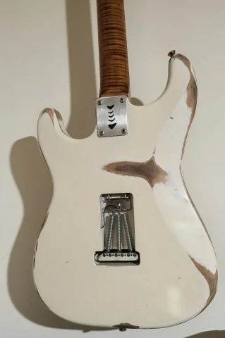 Custom Stratocaster by Pavezas