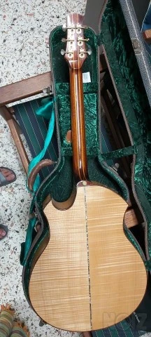 Parker P8EN acoustic guitar with RM acou