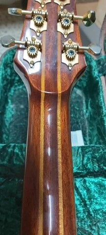 Parker P8EN acoustic guitar with RM acou