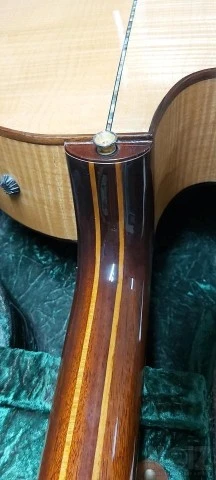 Parker P8EN acoustic guitar with RM acou