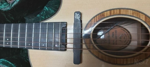 Parker P8EN acoustic guitar with RM acou