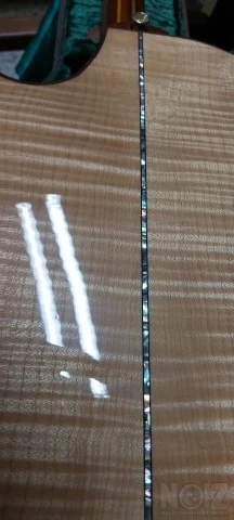 Parker P8EN acoustic guitar with RM acou