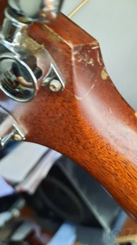 Κιθάρα Taylor 510