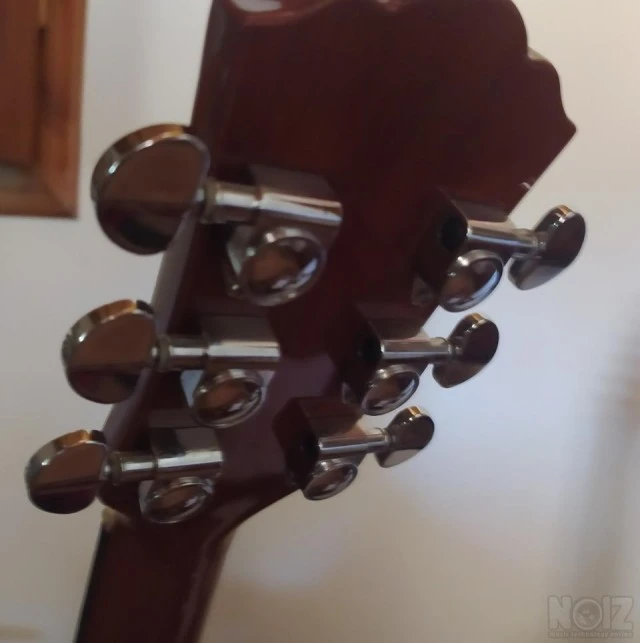 Washburn Apprentice