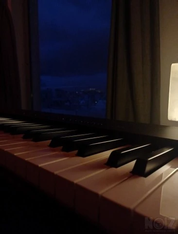 Yamaha p225
