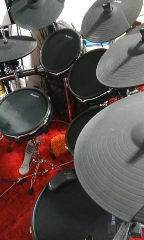 Alesis DM 10
