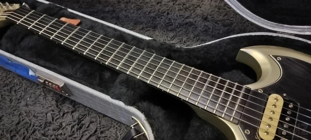 Gibson SG Platinum