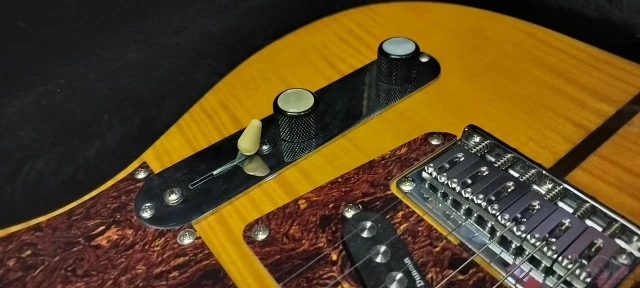 Parts Custom Tele