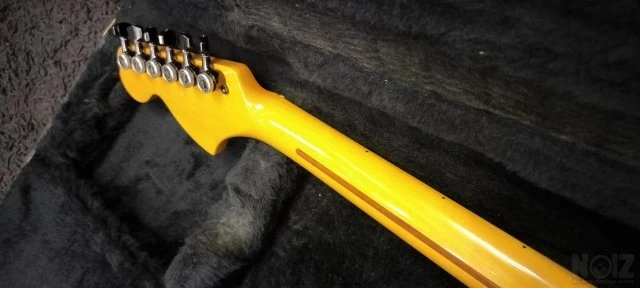 Parts Custom Tele