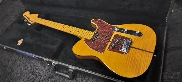 Parts Custom Tele