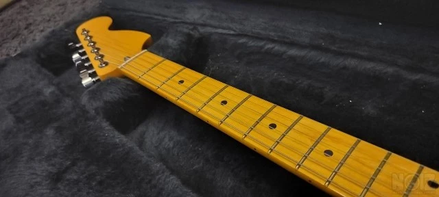 Parts Custom Tele