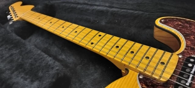 Parts Custom Tele