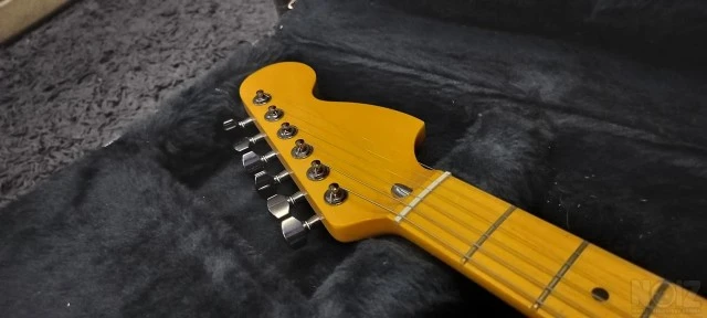 Parts Custom Tele